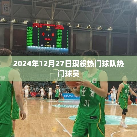 2024年热门球队球员一览表，12月27日现役球员风采