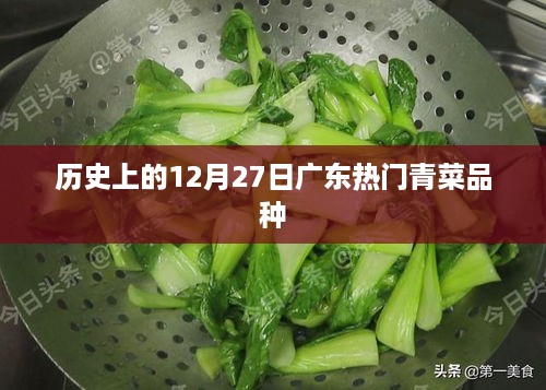 广东青菜品种变迁，历史上的十二月二十七日回顾