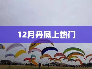 12月丹凤热潮来袭，成为热门焦点