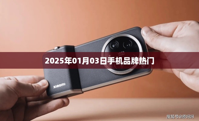 2025年热门手机品牌趋势分析