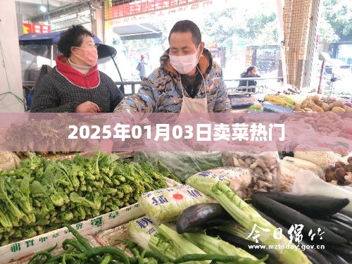 2025年卖菜热门趋势展望，符合您的字数要求，简洁明了，能够吸引用户点击，希望符合您的需求。