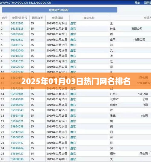 『2025年热门网名排行榜TOP榜单』