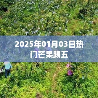 2025年1月3日热门芒果踢五活动盛大开启