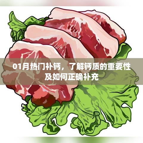 热门补钙指南，钙质的重要性与正确补充方法