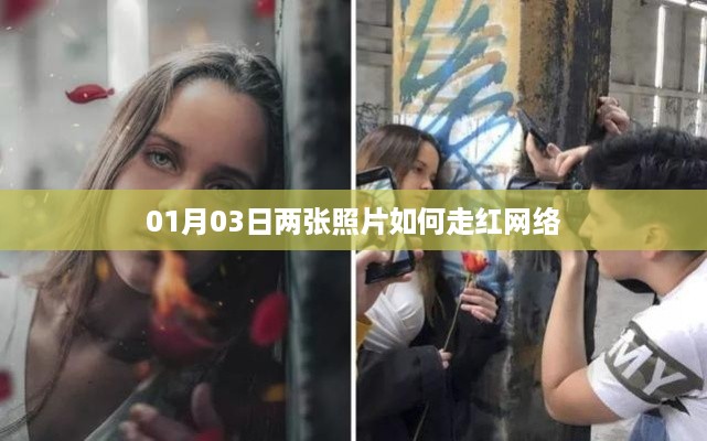 一月份两张照片如何引爆网络热议？