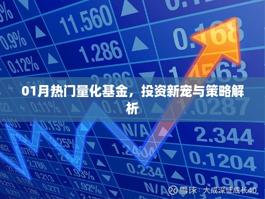 量化基金投资新宠，热门策略与实战解析