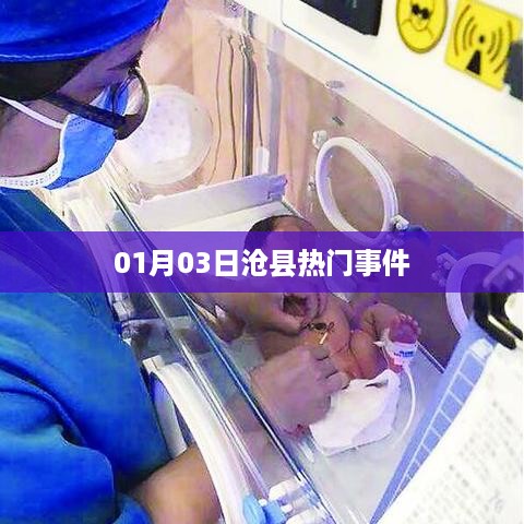 沧县最新热门事件速递，01月03日动态