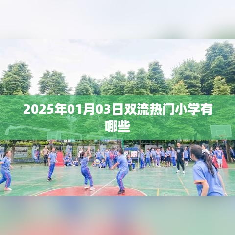 双流热门小学盘点，2025年最新排名及介绍