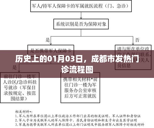 成都市发热门诊流程图历史解析，一月三日重要时刻