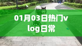 热门vlog日常分享，精选瞬间，记录生活美好时刻