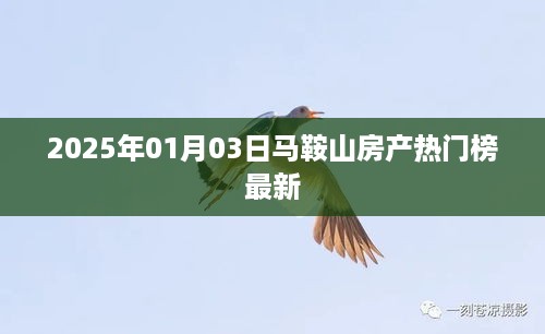 马鞍山房产热门榜最新动态（2025年1月3日）。