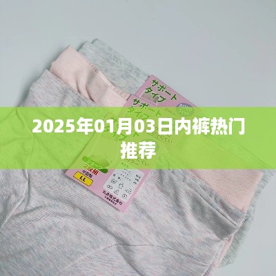 『2025年时尚必备，精选内裤推荐』