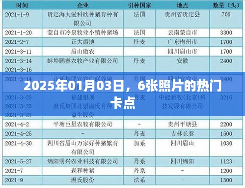 热门卡点照片来袭，2025年元旦打卡新风尚