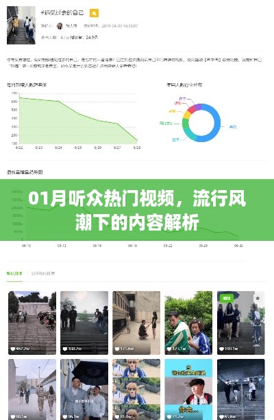 热门视频解析，流行风潮下的内容观察