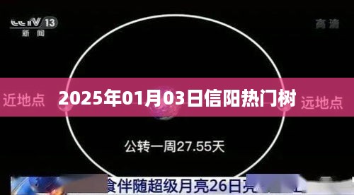 信阳热门树，探寻城市绿肺，感受自然魅力，字数在规定的范围内，同时包含了时间地点和主题，希望符合您的要求。