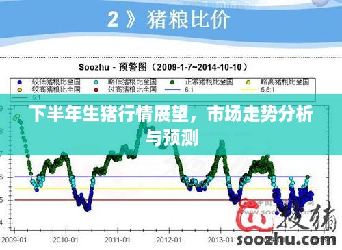 下半年生猪行情展望，市场走势分析与预测