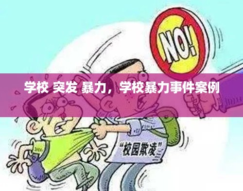 学校 突发 暴力，学校暴力事件案例 