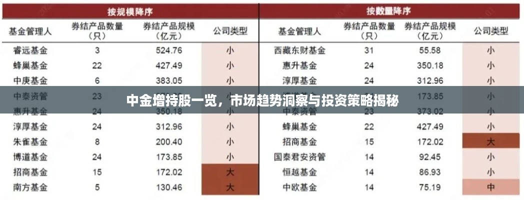 中金增持股一览，市场趋势洞察与投资策略揭秘