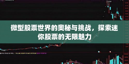 微型股票世界的奥秘与挑战，探索迷你股票的无限魅力