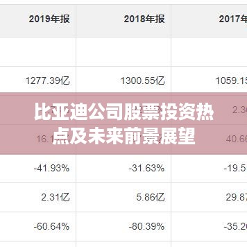 比亚迪公司股票投资热点及未来前景展望