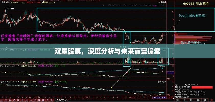 双星股票，深度分析与未来前景探索