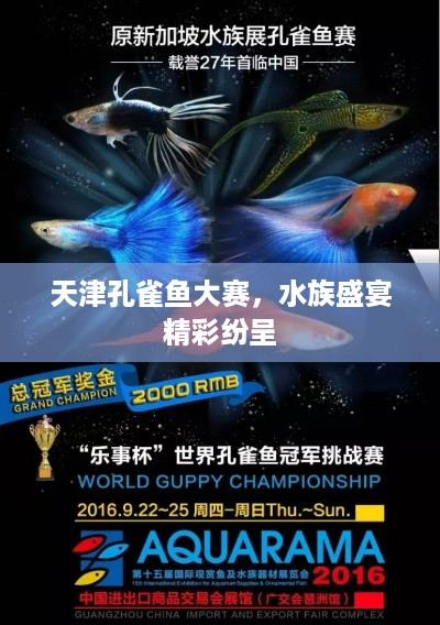 天津孔雀鱼大赛，水族盛宴精彩纷呈