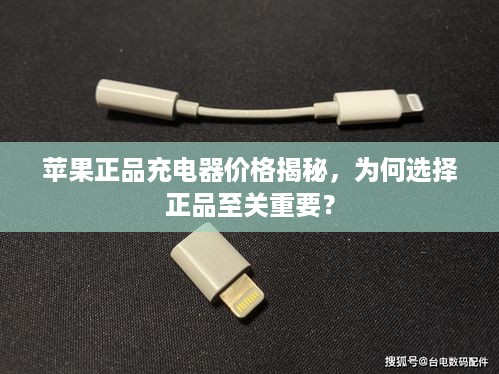 苹果正品充电器价格揭秘，为何选择正品至关重要？