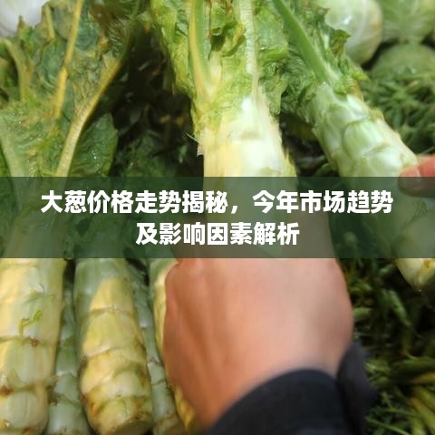 大葱价格走势揭秘，今年市场趋势及影响因素解析