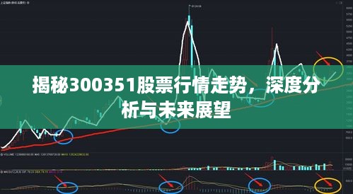 揭秘300351股票行情走势，深度分析与未来展望