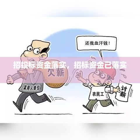 招投标资金落实，招标资金已落实 