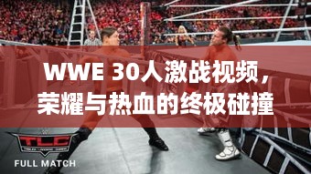 WWE 30人激战视频，荣耀与热血的终极碰撞盛宴