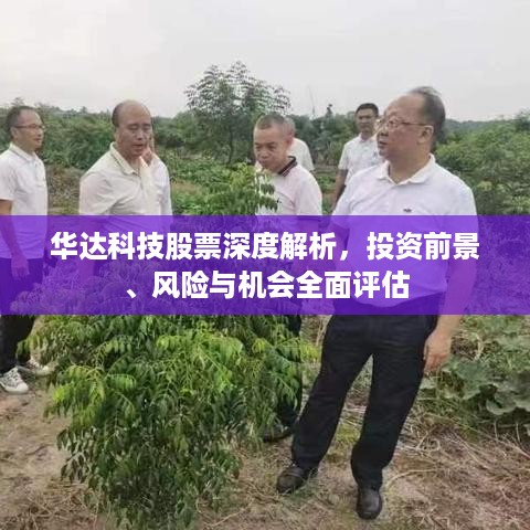 华达科技股票深度解析，投资前景、风险与机会全面评估