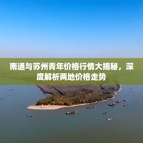 南通与苏州青年价格行情大揭秘，深度解析两地价格走势