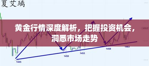 黄金行情深度解析，把握投资机会，洞悉市场走势