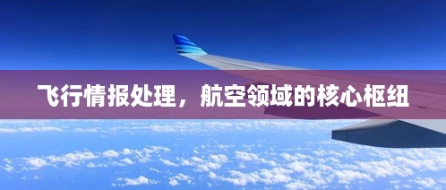 飞行情报处理，航空领域的核心枢纽