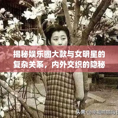 揭秘娱乐圈大款与女明星的复杂关系，内外交织的隐秘世界