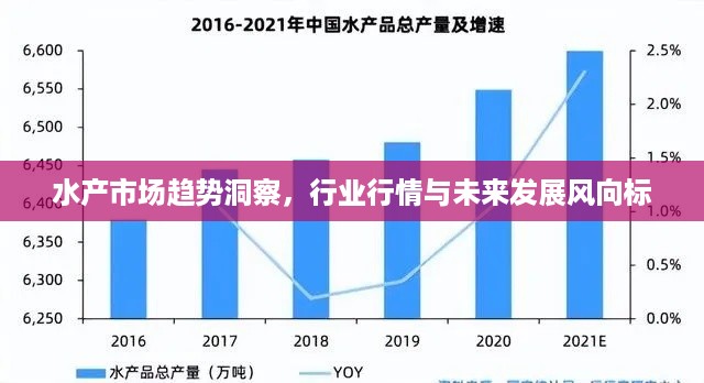 水产市场趋势洞察，行业行情与未来发展风向标