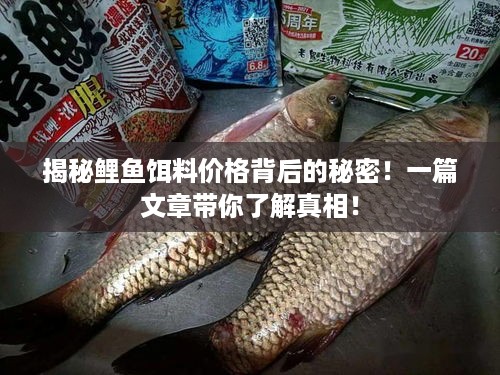 揭秘鲤鱼饵料价格背后的秘密！一篇文章带你了解真相！