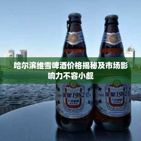 哈尔滨维雪啤酒价格揭秘及市场影响力不容小觑