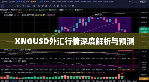 XNGUSD外汇行情深度解析与预测