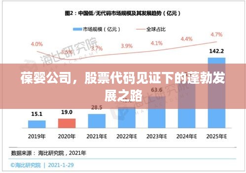 葆婴公司，股票代码见证下的蓬勃发展之路