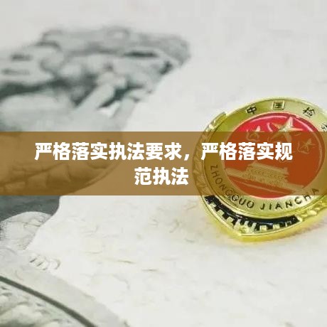 严格落实执法要求，严格落实规范执法 