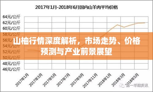 山柚行情深度解析，市场走势、价格预测与产业前景展望