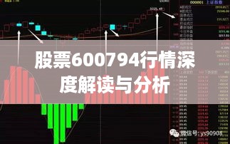 股票600794行情深度解读与分析