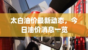 太白油价最新动态，今日油价消息一览