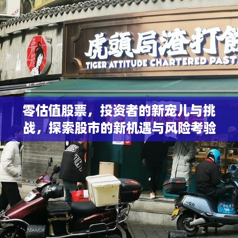 零估值股票，投资者的新宠儿与挑战，探索股市的新机遇与风险考验