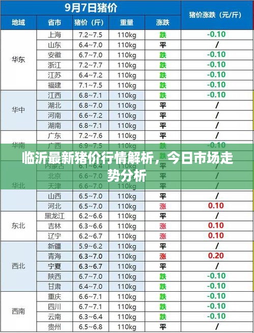 临沂最新猪价行情解析，今日市场走势分析