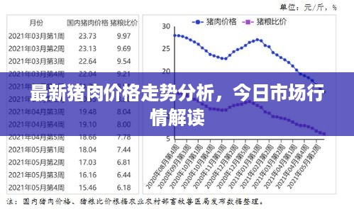 最新猪肉价格走势分析，今日市场行情解读