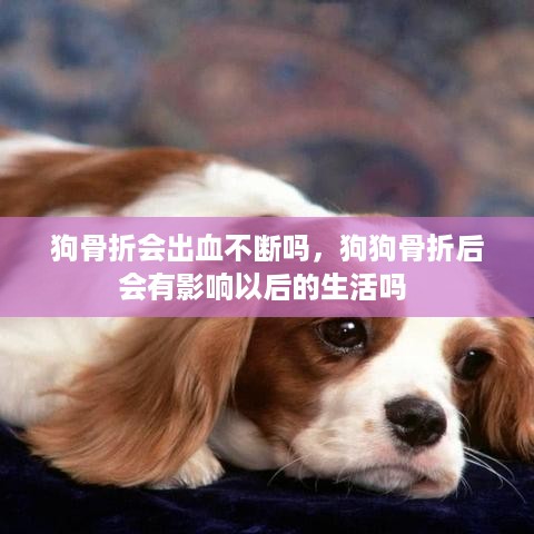 狗骨折会出血不断吗，狗狗骨折后会有影响以后的生活吗 