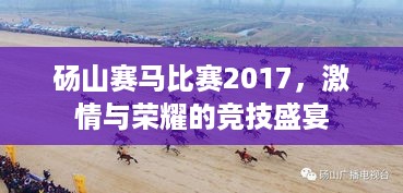 砀山赛马比赛2017，激情与荣耀的竞技盛宴